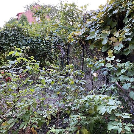 Apartamenty Lux Slowackiego, Przemyśl Dış mekan fotoğraf