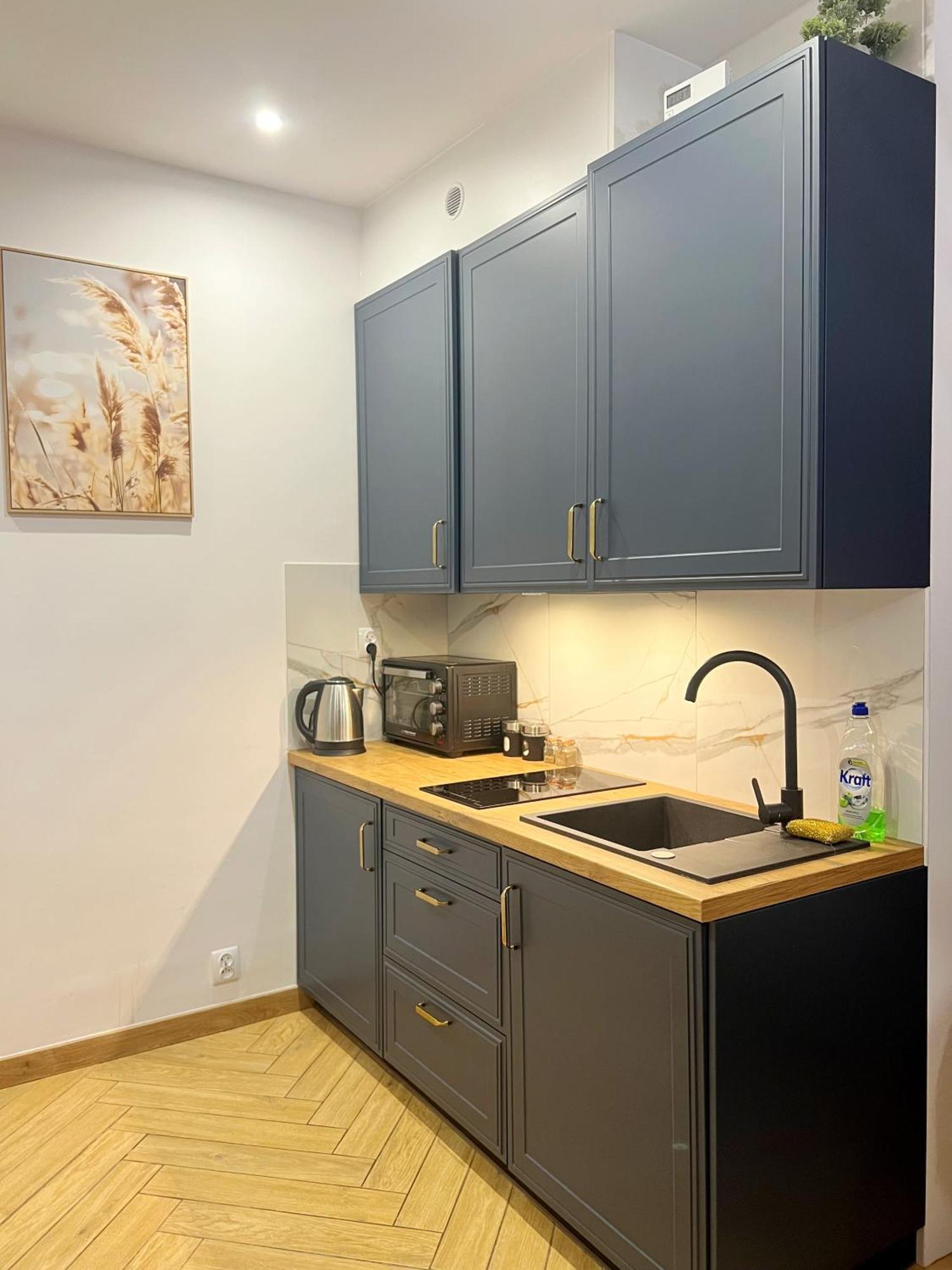 Apartamenty Lux Slowackiego, Przemyśl Dış mekan fotoğraf