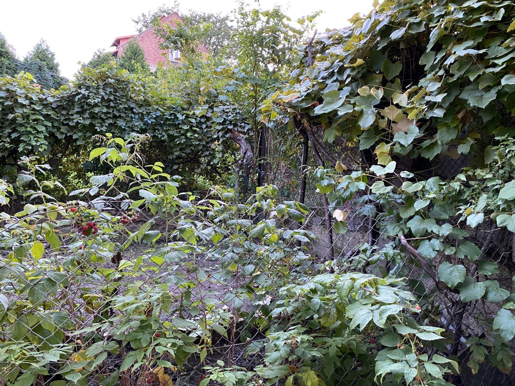 Apartamenty Lux Slowackiego, Przemyśl Dış mekan fotoğraf